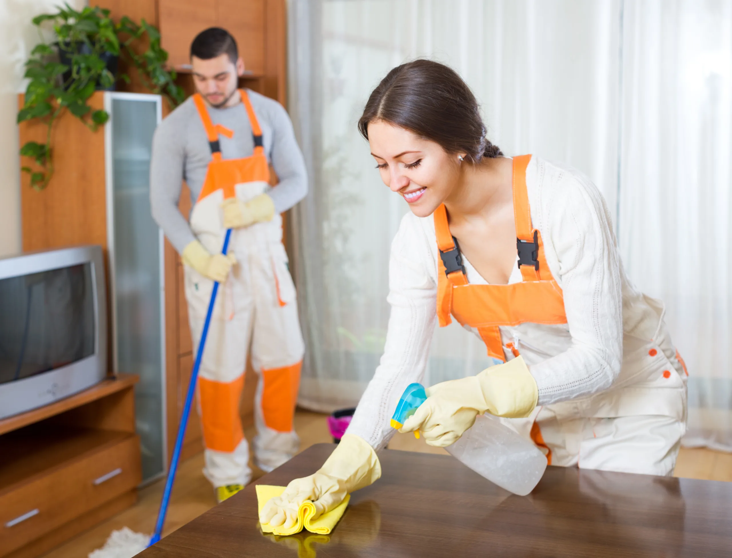 Professional residential cleaners at work