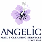 Cleaning Services